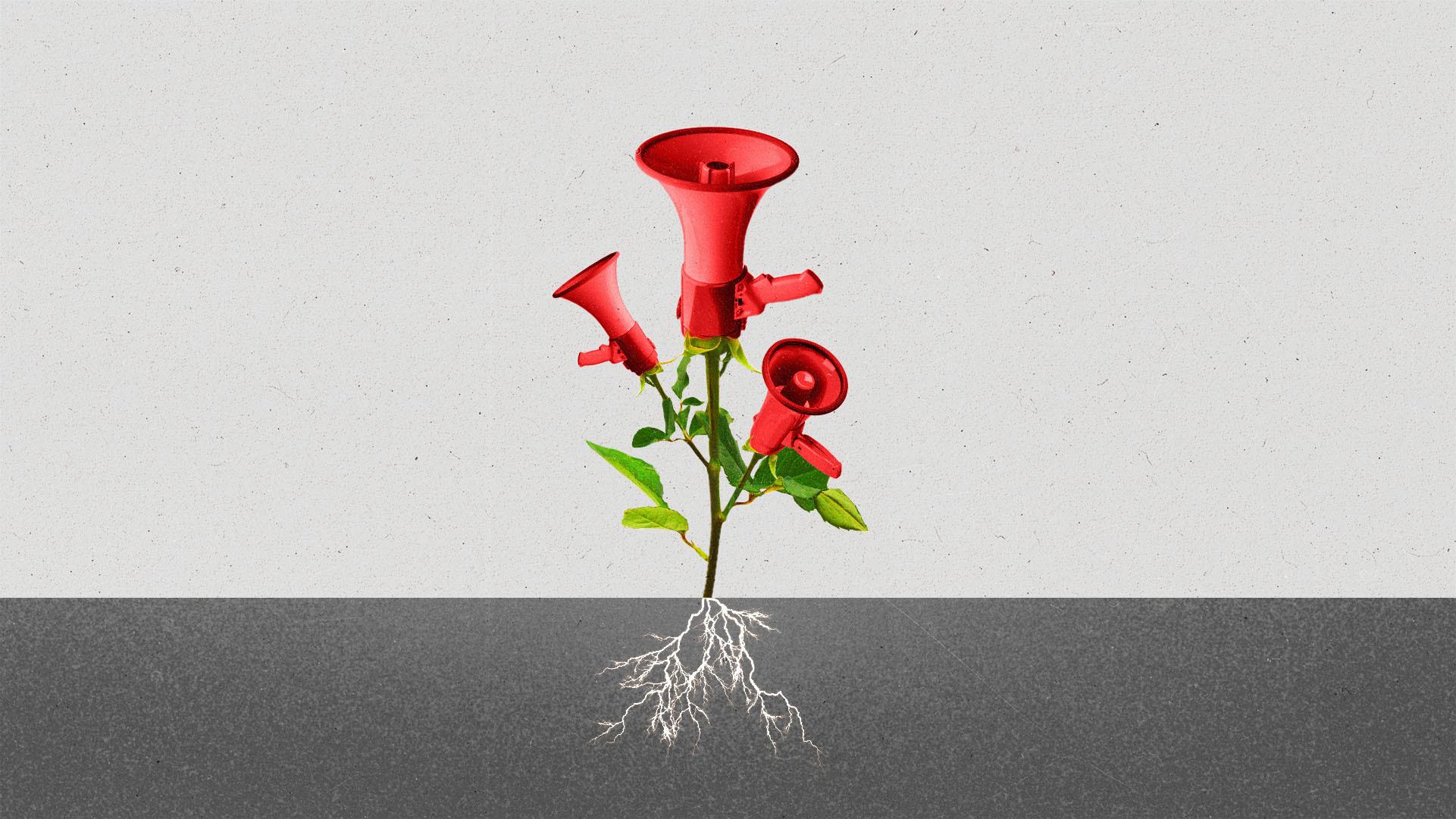 Plant growing from the ground with roots visible beneath the surface, with red megaphones for flowers.
