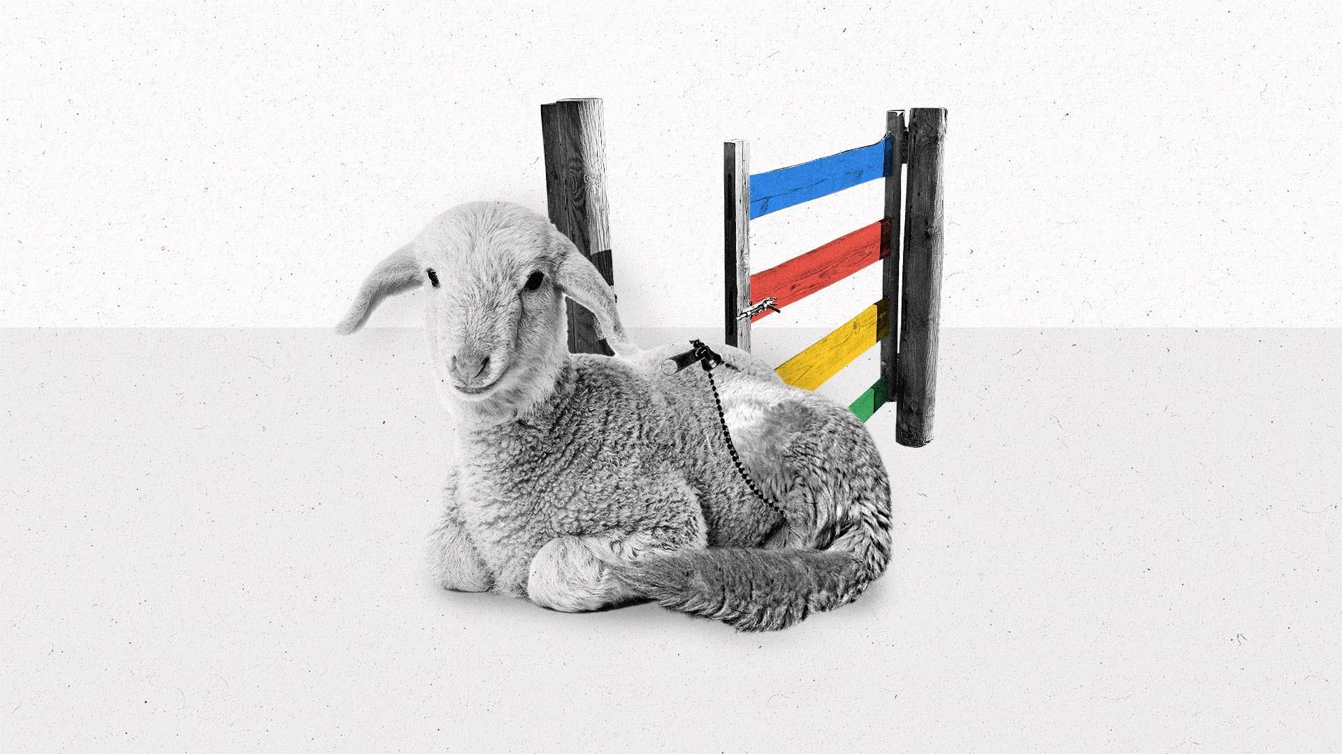 Tail emerges from a lambs unzipped fur next to a multicolor fence.