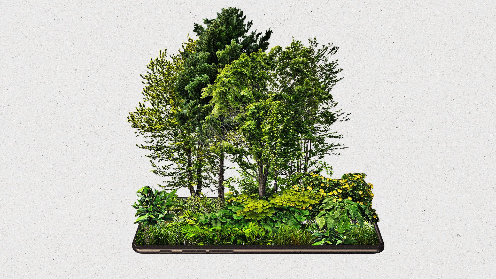 Mobile phone shows a green forest emerging on top of the screen.