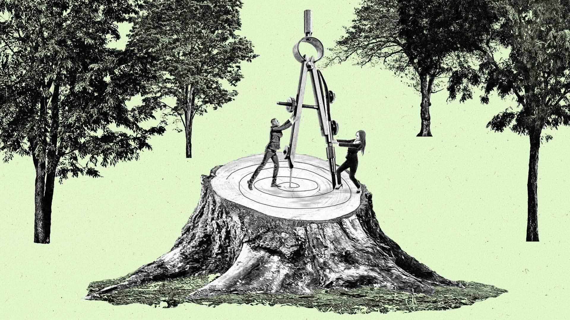 Small people balance a large protractor on top of a tree stump in the woods.