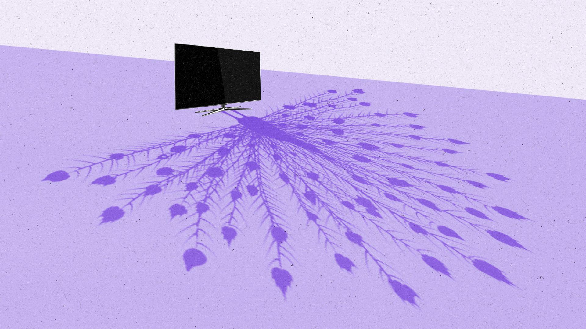 A tv casting a peacock-shaped shadow.